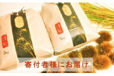 ◆【お米シェア】農家直送 高島市産近江米コシヒカリ 白米（5kg×2袋）