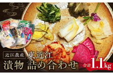 近江農産の東近江漬物詰め合わせ 1.1kg 農事組合法人近江農産組合 滋賀県 東近江市 O-I04 漬物 野菜 安心 安全 無添加 保存料不使用 ご飯のお供 おつまみ