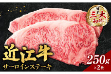 E-E05 近江牛サーロインステーキ250ｇ×2枚（箱なしエコ包装） いろは精肉店 近江牛 牛 牛肉 国産 和牛 ブランド牛 赤身 サーロイン ステーキ 炒め物 煮物 ギフト 贈り物 高級 人気 近江 東近江市 滋賀県