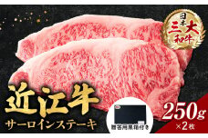F-G06 近江牛 サーロイン ステーキ 250ｇ×2枚（贈答用黒箱） いろは精肉店牛 牛肉 国産 和牛 ブランド牛 赤身 炒め物 煮物 ギフト 贈り物 高級 人気 近江 東近江市 滋賀県