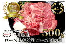 C-E10 令和4年度 全国肉用牛枝肉共励会 最優秀賞受賞 中川牧場の近江牛ロースまたは肩ロース焼肉用 500g[髙島屋選定品] （株）髙島屋洛西店