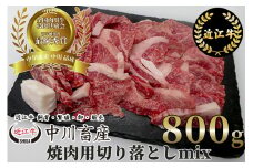 C-E11 令和4年度 全国肉用牛枝肉共励会 最優秀賞受賞 中川牧場の近江牛 焼肉用 切り落とし ｍｉｘ 800g[髙島屋選定品]  （株）髙島屋洛西店 ロース 肩ロース モモ バラ 牛肉 ブランド牛 高級 和牛 国産牛 肉 人気 おすすめ ランキング 大容量 神戸牛 松坂牛 に並ぶ 日本三大和牛