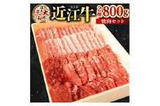 C-E12 近江牛 焼肉 セット（モモ・バラ）各400g 計800g 近江牛 ブランド牛 近江牛 牛肉 近江牛 近江牛 贈り物 ギフト 近江牛 やきしゃぶ 近江牛 国産 近江牛 滋賀県 近江牛 東近江市近江牛 近江牛 霜降り 神戸牛 松阪牛 に並ぶ 日本三大和牛 株式会社びわこフード(近江牛専門店 万葉)