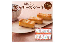 A-D20 湖のくに焼チーズケーキ12本 社会福祉法人あゆみ福祉会(工房しゅしゅ)