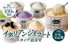 イタリアン ジェラート ミニカップ 詰め合わせ12個入り 有限会社池田牧場 滋賀県 東近江市 A-E29 ジェラート アイス ミルク 牛乳 牧場 濃厚 素材の味 カップ