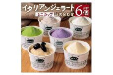 O-I16 イタリアン ジェラート ミニカップ 詰め合わせ 6個入り 有限会社池田牧場 【 アイス アイスクリーム ジェラート 人気 滋賀 ランキング アイスキャンディー セット スイーツ お菓子 洋菓子 デザート デザートカップ デザート詰め合わせ デザートアイス 詰合せ 詰め合わせ 】