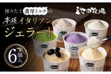 O-I16 イタリアン ジェラート ミニカップ 詰め合わせ 6個入り 有限会社池田牧場 【 アイス アイスクリーム ジェラート 人気 滋賀 ランキング アイスキャンディー セット スイーツ お菓子 洋菓子 デザート デザートカップ デザート詰め合わせ デザートアイス 詰合せ 詰め合わせ 】