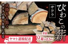 びわこの薪（サクラ薪×9箱） 株式会社ジンジ 滋賀県 東近江市 AO-B03 薪 サクラ 9箱 ストーブ 焚き火 キャンプ アウトドア BBQ