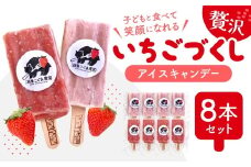 【ふるさと納税】A-B28 いちご農家の贅沢いちごづくしアイスキャンデー8本セット（いちご・いちごミルク） 湖東こぐま農園