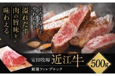厳選フィレブロック 500g 安田牧場 滋賀県 東近江市 H-D03 近江牛 フィレ ステーキ ローストビーフ