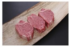 H07 厳選フィレステーキ　150g×３ 安田牧場 近江牛 牛 牛肉 国産 和牛 近江牛 ブランド牛 近江牛 牛肉 近江牛 近江牛 贈り物 ギフト 近江牛 やきしゃぶ 近江牛 国産 近江牛 滋賀県 近江牛 東近江市近江牛 近江牛 霜降り 日本三大和牛 ふるさと納税 ブランド牛 赤身 ギフト 贈り物 高級 人気 近江 東近江市 滋賀県