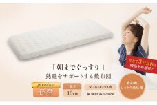 6層敷布団「premium琵琶」ダブル [№5694-0359]