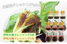 米原産ドレッシング6本セット（伊吹大根ドレッシング3本、伊吹の梅ドレッシング3本） [№5694-0434]