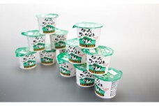 伊吹ヨーグルト（加糖）100g×12ヶ入 [№5694-0510]