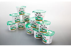 伊吹ヨーグルト（加糖）100g×12ヶ入 [№5694-0510]