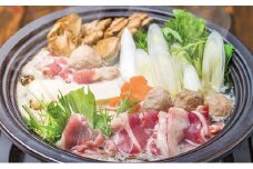 鴨鍋セット（鴨肉・だし）4～6人前 [№5694-0590]