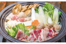 鴨鍋セット（鴨肉・だし）4～6人前 [№5694-0590]