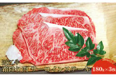近江牛霜降り肉 サーロインステーキ（180g×3枚） [№5694-0703]