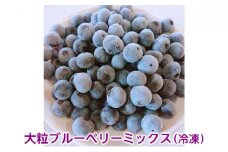 大粒ブルーベリーミックス（冷凍） [№5694-0756]