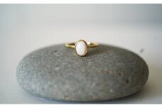 池蝶貝（イケチョウガイ）オーバルリング【10号】 [№5694-0784]