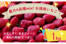 【たっぷり最大4品種ミックス】お徳用いちご(1kg超入り)※本州限定 [№5694-0791]
