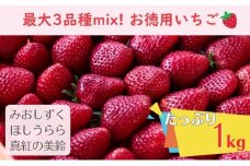 【たっぷり最大3品種ミックス】お徳用いちご(1kg超入り)※本州限定 果物類 フルーツ 果物  [№5694-0791]