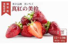 希少品種黒色いちご「真紅の美鈴（しんくのみすず）」 いちご 黒いちご 本州限定 苺 イチゴ 果物 フルーツ くだもの 国産[№5694-0792]