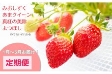 【1月～5月お届け】希少品種いちご4種定期便　※本州限定 [№5694-0794]