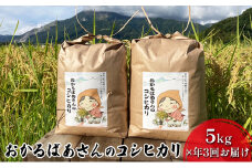 【令和7年産新米予約受付】【5kg×3か月連続お届け】おかるばあさんのコシヒカリ お米	 [№5694-0798]