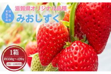 【本州限定】滋賀県オリジナルいちご「みおしずく」 [№5694-0891]