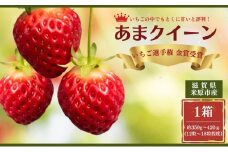 【本州限定】いちご選手権全国2位「あまクイーン」 [№5694-0892]