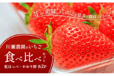 川瀬農園のいちご食べ比べセット　4パック（紅ほっぺ・かおり野　各2P） [№5694-1005]
