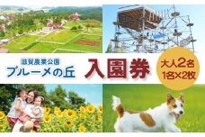 滋賀農業公園 ブルーメの丘 大人2名（1名×2枚）入園券 [ アトラクション 動物 ふれあい ファミリー 家族 旅行 ]