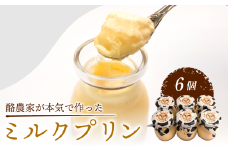 酪農家が本気で作った ミルクプリン 6個 プリン ぷりん 濃厚 スイーツ デザート おやつ お菓子 新鮮 卵 牛乳 ミルク 牛 プレゼント おいしい プルプル 甘い 牛乳プリン うし 贅沢 農家応援 酪農家 酪農応援 酪農家応援 贈り物 ギフト お中元 夏 夏休み 子ども 牧場 野田牧場 乳 滋賀県 日野町 ふるさと納税 