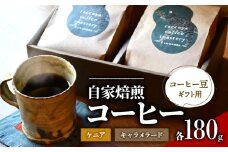 コーヒー 豆 2種 各 180g 計 360g 自家焙煎 珈琲 高級 豆 ブラジル キャラメラード ケニア 箱入り （ コーヒー豆 ギフト用 スペシャリティコーヒー おいしい 珈琲豆 ドリップ用 粉 アイスコーヒー ホットコーヒー プレゼント 父の日 贈り物 おすすめ 滋賀県 日野町 送料無料 らっこや珈琲焙煎所 ）