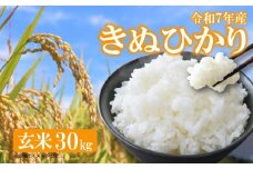 【 新米予約 】 令和7年産 新米 きぬひかり 米 玄米 30kg 国産 滋賀県 日野町 農家直送 お米 おこめ こめ 産地直送 ふるさと納税