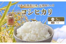 【 新米予約 】 令和7年産 新米 特別栽培米 コシヒカリ 予約 米 5kg 白米 定期便 6ヶ月 計30kg こしひかり 国産 滋賀県 日野町 農家直送 環境こだわり米 お米 おこめ こめ 産地直送 ふるさと納税