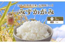 【 新米予約 】 令和7年産 新米 特別栽培米 みずかがみ 予約 米 5kg 白米 定期便 3ヶ月 計15kg ミズカガミ 国産 滋賀県 日野町 農家直送 環境こだわり米 お米 おこめ こめ 産地直送 ふるさと納税