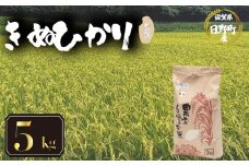 【 令和7年産 新米 5kg 】 きぬひかり 米 玄米 国産 滋賀県 日野町 農家直送 お米 おこめ こめ 産地直送 ふるさと納税