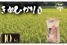 【 令和7年産 新米  10kg 】 きぬひかり 米 白米 国産 滋賀県 日野町 農家直送 お米 おこめ こめ 産地直送 ふるさと納税
