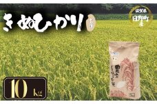【 令和7年産 新米 10kg 】 きぬひかり 米 玄米 国産 滋賀県 日野町 農家直送 お米 おこめ こめ 産地直送 ふるさと納税