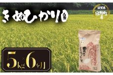 【 令和7年産 新米 5kg 定期便 6ヶ月 】 きぬひかり 米 白米 国産 滋賀県 日野町 農家直送 お米 おこめ こめ 産地直送 ふるさと納税