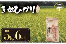 【 令和7年産 新米 5kg 定期便 6ヶ月 】 きぬひかり 米 玄米 国産 滋賀県 日野町 農家直送 お米 おこめ こめ 産地直送 ふるさと納税
