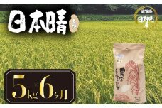 【 令和7年産 新米 5kg 定期便 6ヶ月 】 日本晴 米 玄米 国産 滋賀県 日野町 農家直送 お米 おこめ こめ 産地直送 ふるさと納税