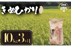 【 令和7年産 新米 10kg  定期便 3ヶ月 】 きぬひかり 米 玄米 国産 滋賀県 日野町 農家直送 お米 おこめ こめ 産地直送 ふるさと納税