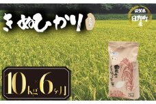 【 令和7年産 新米 10kg 定期便 6ヶ月 】 きぬひかり 米 玄米 国産 滋賀県 日野町 農家直送 お米 おこめ こめ 産地直送 ふるさと納税