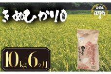 【 令和7年産 新米 10kg 定期便 6ヶ月 】 きぬひかり 米 白米 国産 滋賀県 日野町 農家直送 お米 おこめ こめ 産地直送 ふるさと納税