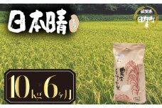 【 令和7年産 新米 10kg 定期便 6ヶ月 】 日本晴 米 玄米 国産 滋賀県 日野町 農家直送 お米 おこめ こめ 産地直送 ふるさと納税