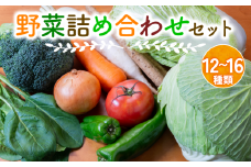  竜王産 野菜詰め合わせセット 野菜セット 野菜 詰め合わせ 食材 新鮮 旬 産地直送 滋賀県 竜王町 送料無料