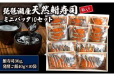 琵琶湖産天然鮒寿司ミニパック10セット【 箱入り 】 ( 鮒 鮒ずし ふなずし 発酵食品 お茶漬け おすすめ おつまみ 珍味 酒の肴 寿司 子持ち 燻製 名物  滋賀県 竜王 琵琶湖 送料無料 )
